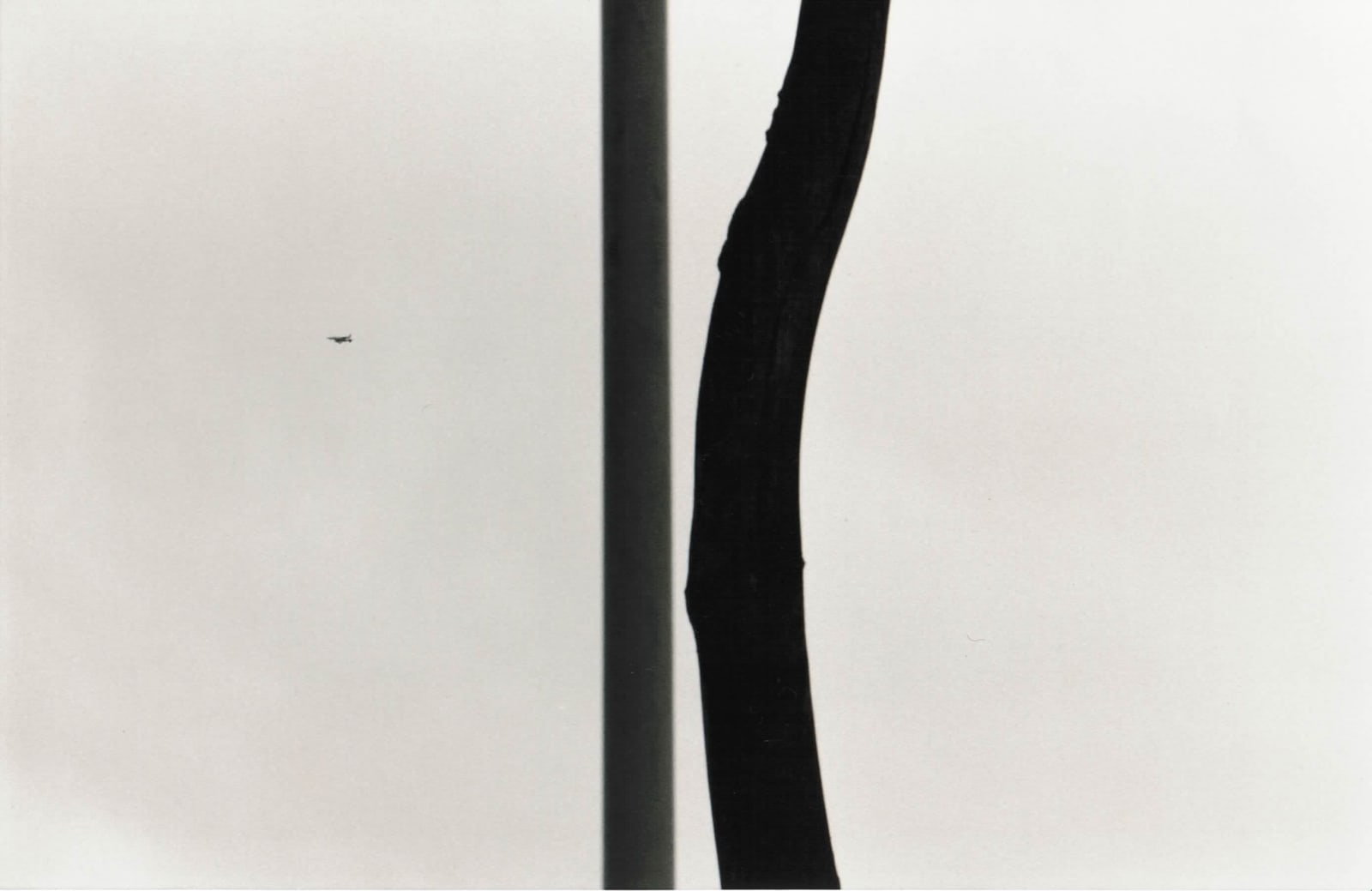 Yamamoto Masao, Kawa=Flow #1555