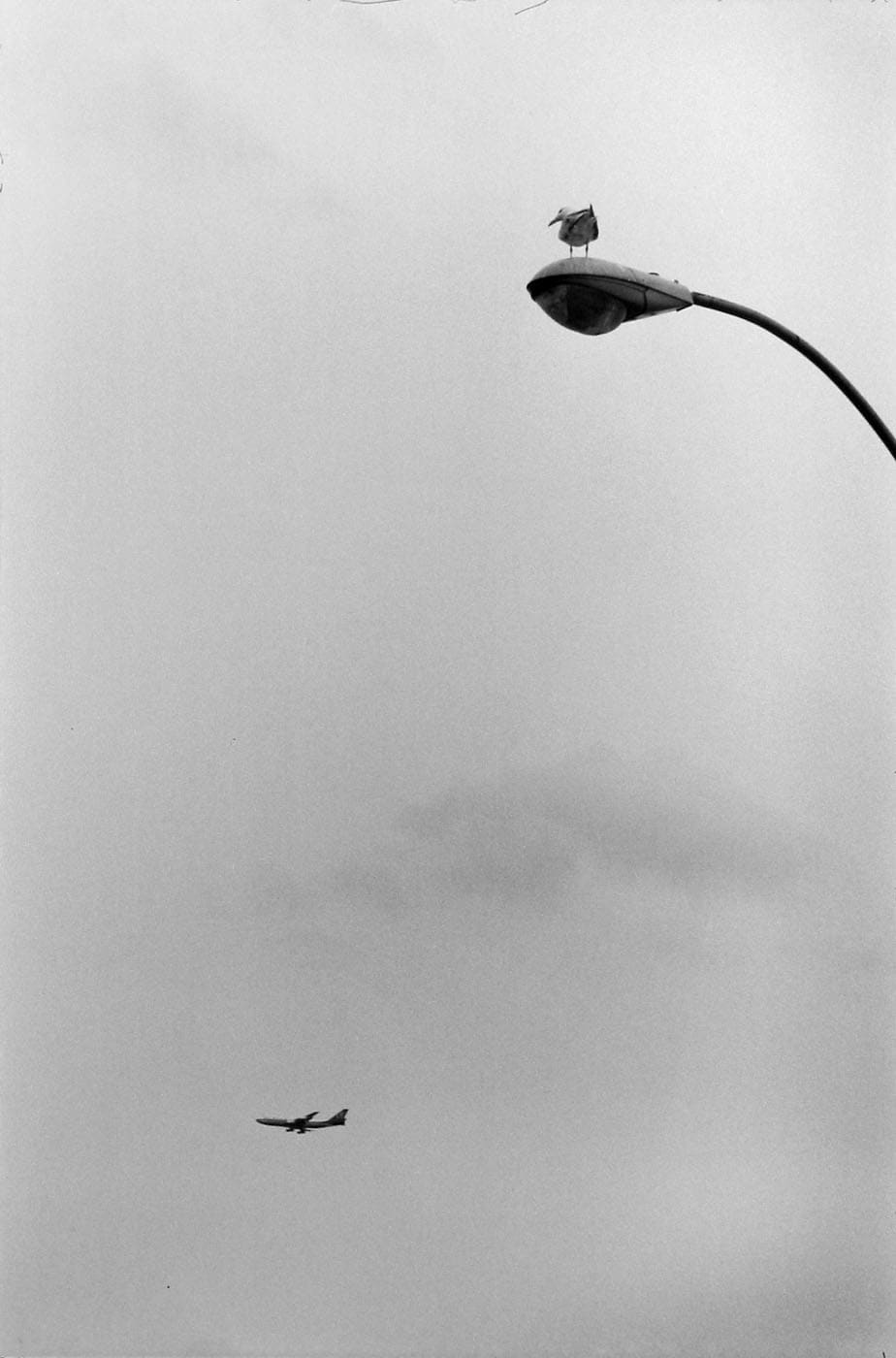 Elliott Erwitt, Coney Island, 1975