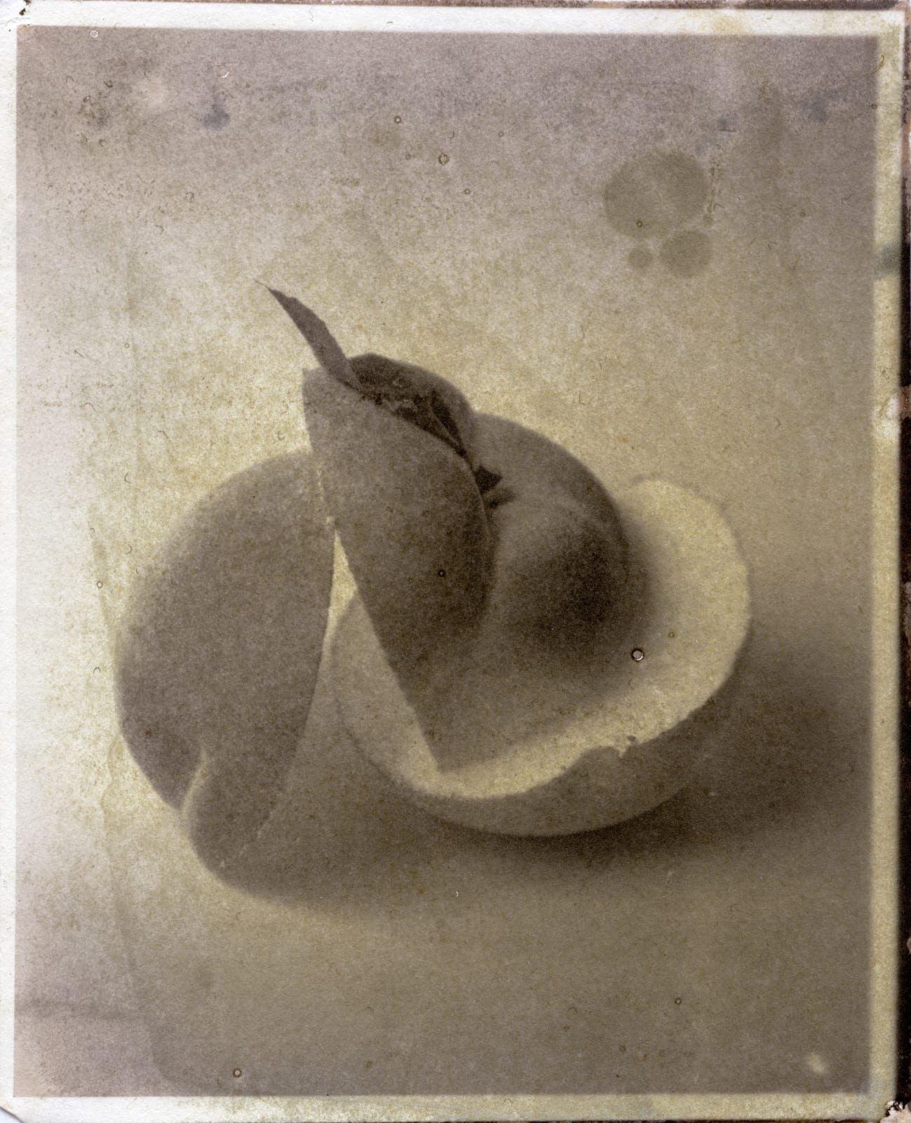 Matthew Brandt, Peaches, 10B, 2017