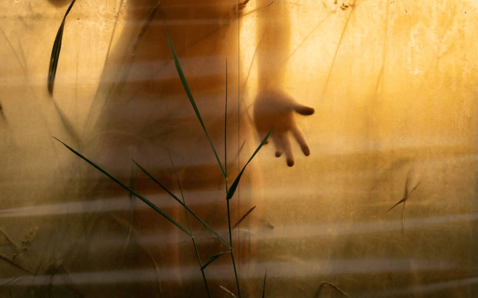 Cig Harvey, August Sunset (Emily), Rockport, Maine, 2024