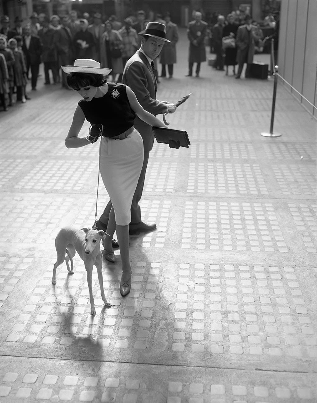 William Helburn, Simone D'Aillencourt with Whippet, Penn Station, New York, NY, 1959