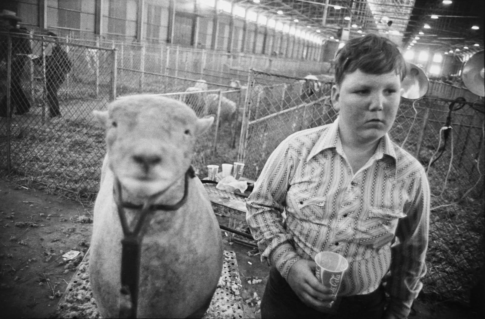 Garry Winogrand, Boy at Stock Show, Fort Worth, Texas, 1975