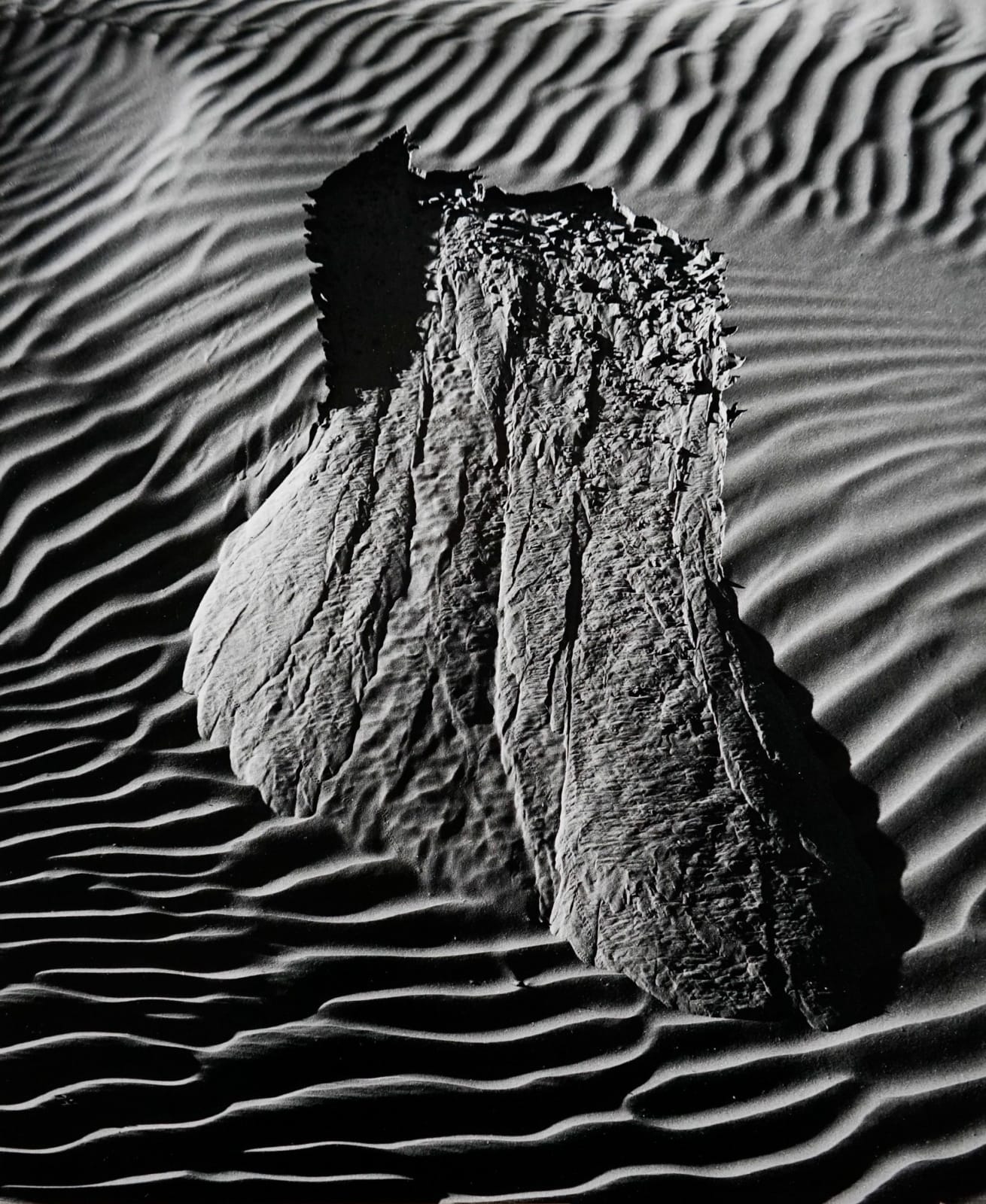 Brett Weston, Dunes, 1968
