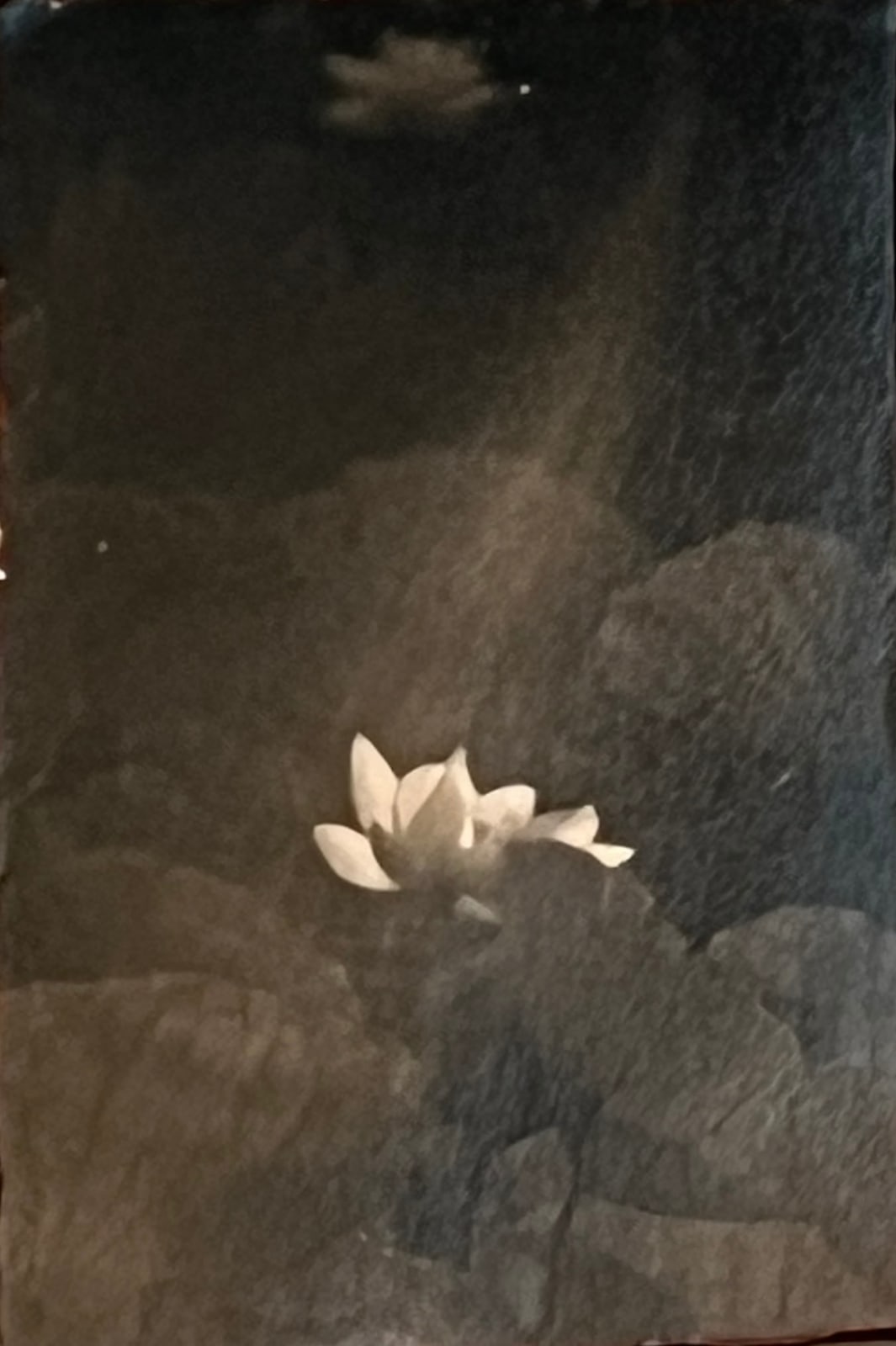 Yamamoto Masao, Nakazora #1381