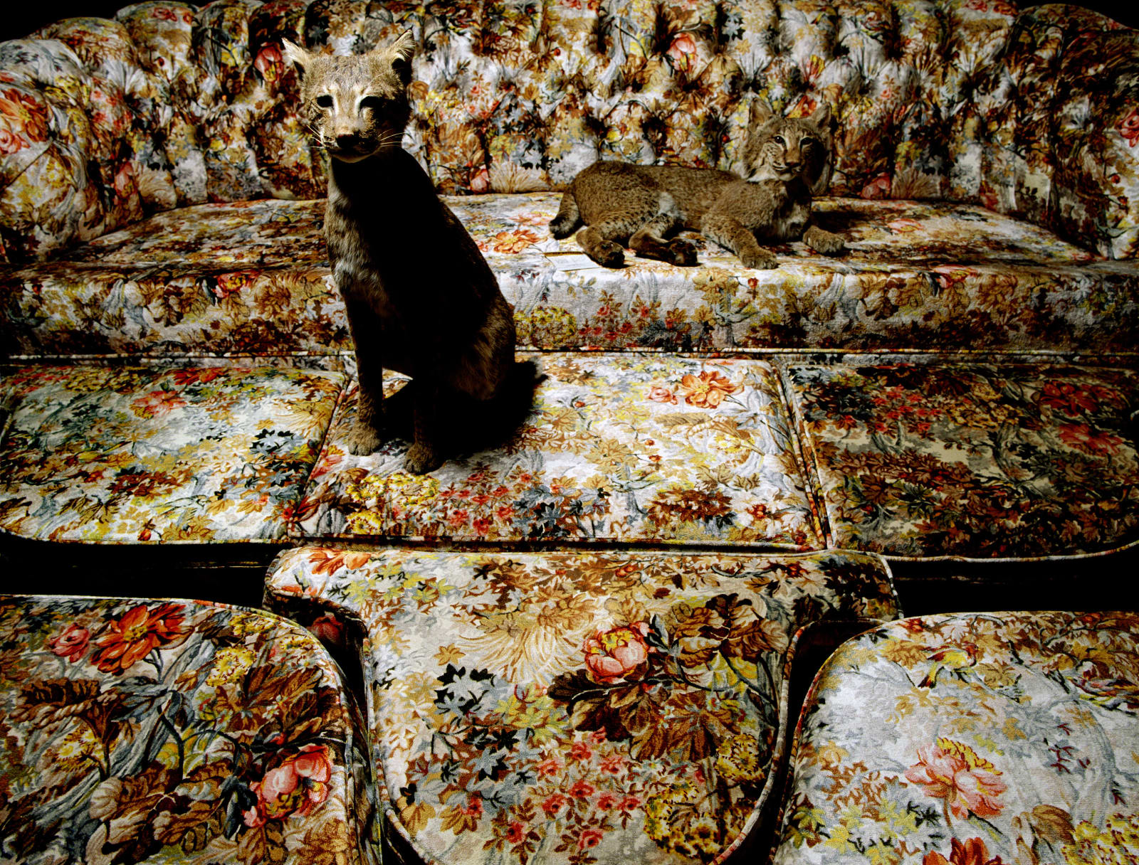 Jody Fausett, Camouflage, 2007