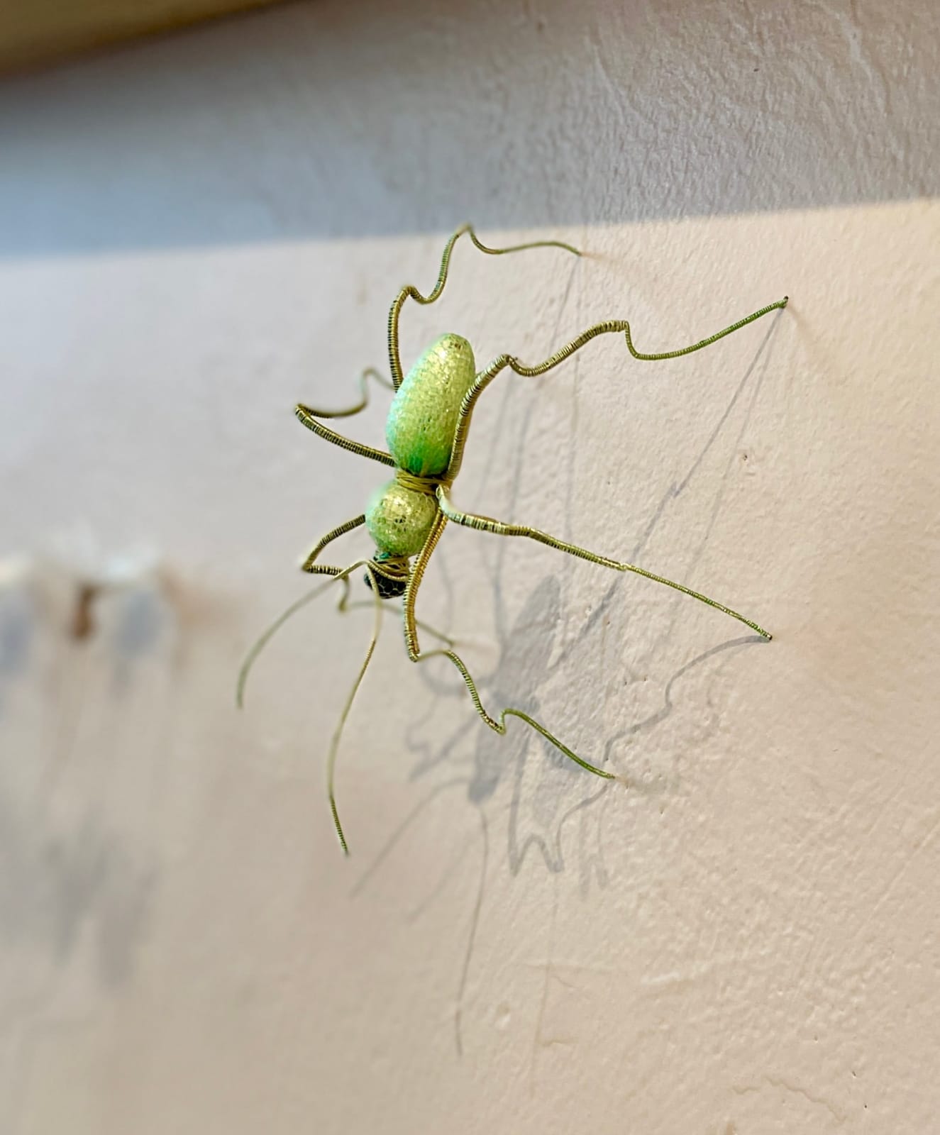 Bridget Bailey, Insects