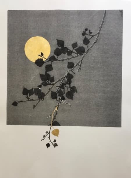 Patricia Swannell, Metamorphosis II