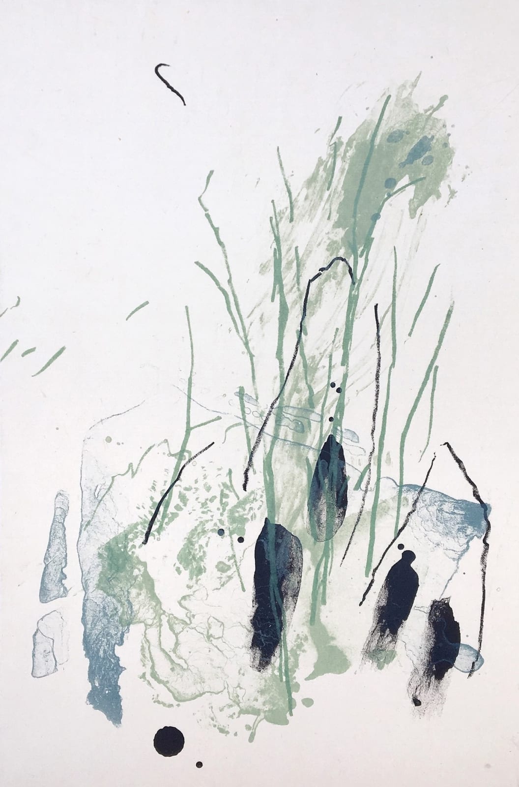 Danielle Creenaune, Botanica