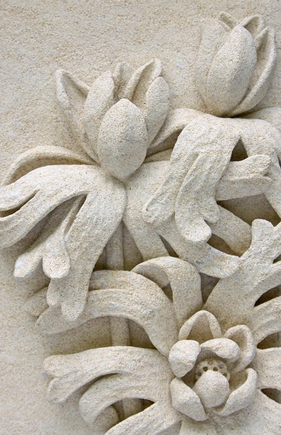 Jude Tucker, Limestone Florals