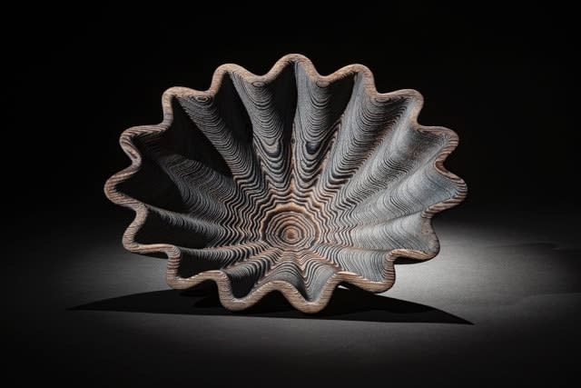 Duke Christie, Limpets