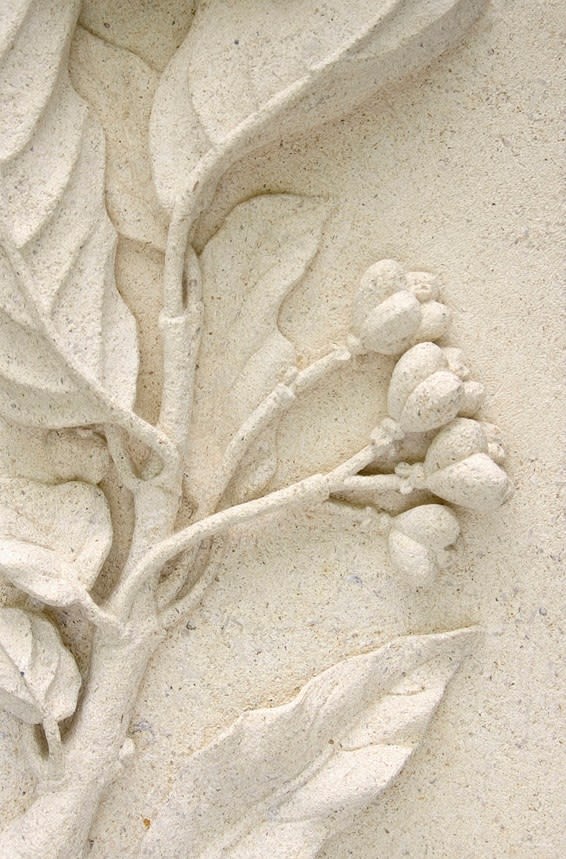 Jude Tucker, Limestone Florals