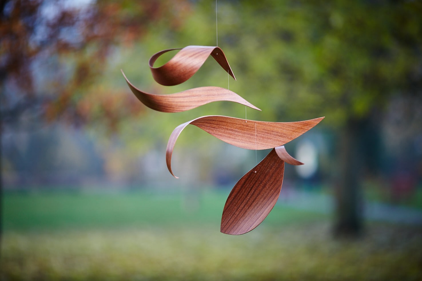 Juliet and Jamie Gutch, Garden Series