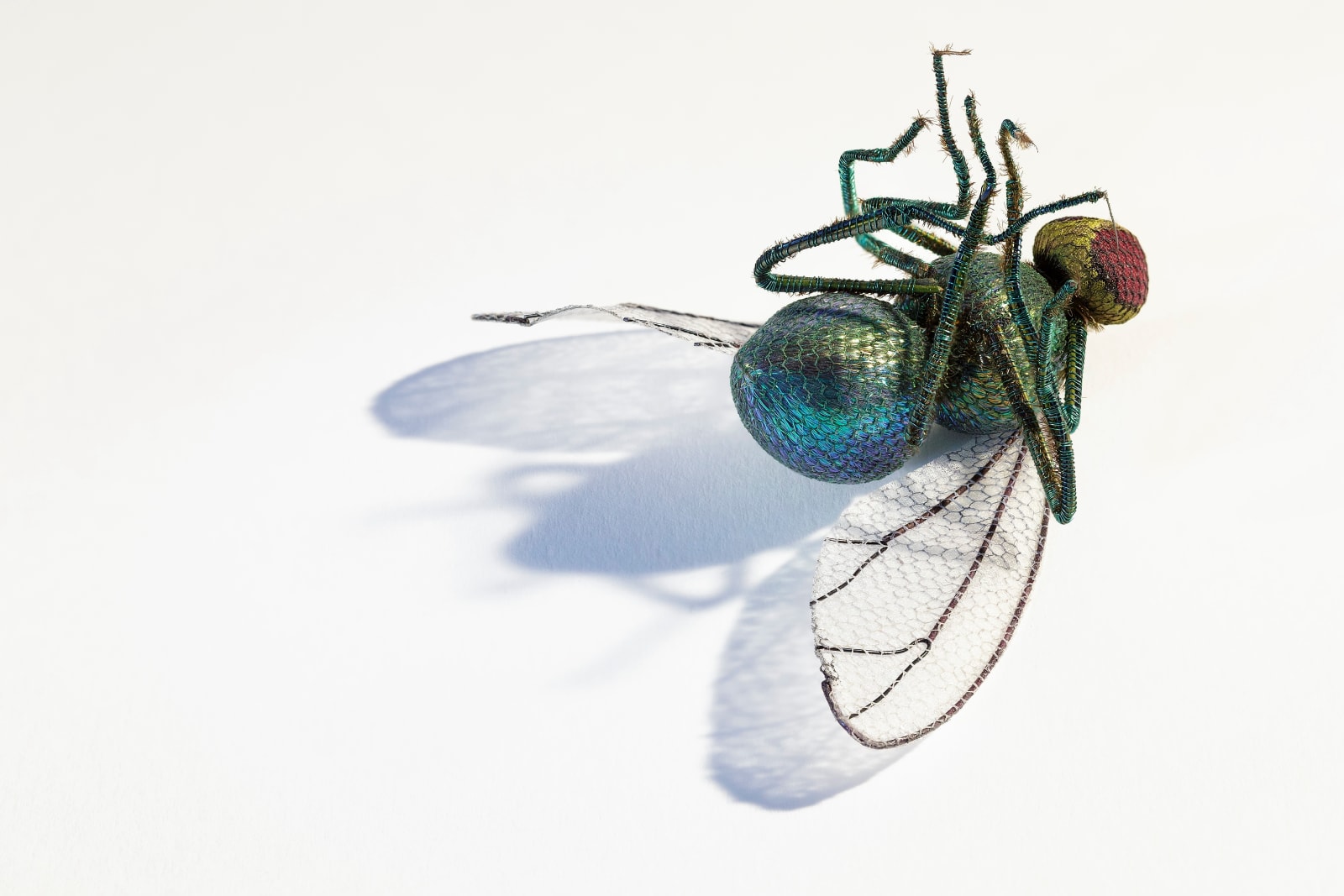 Bridget Bailey, Insects