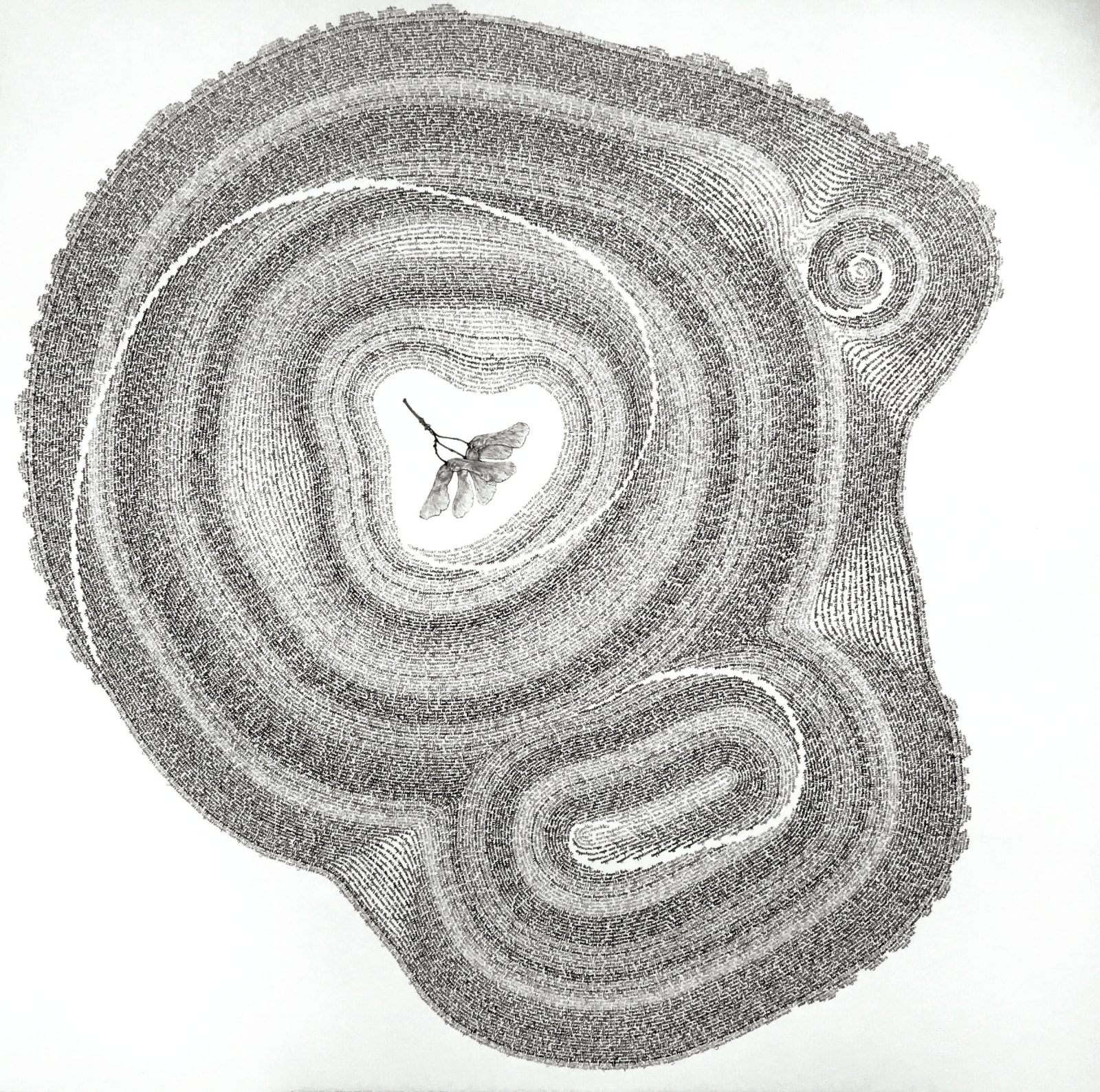 Patricia Swannell, Tree Ring Series