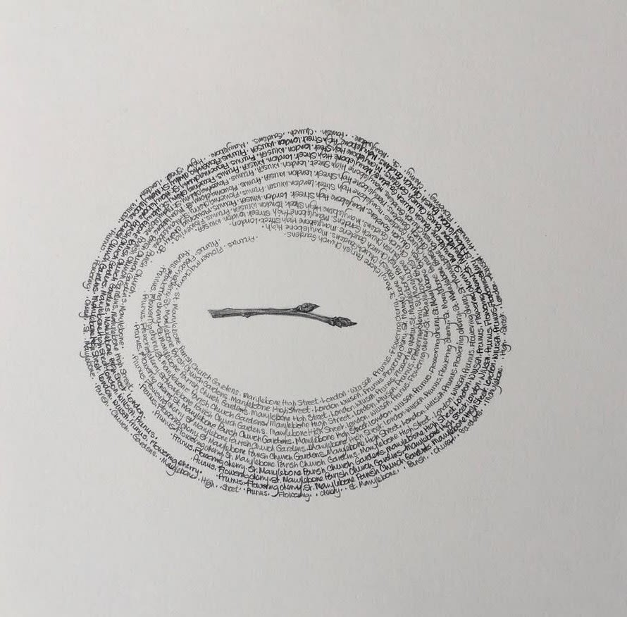 Patricia Swannell, Tree Ring Series