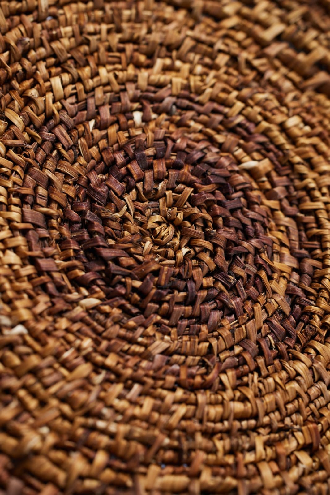 Alice Fox, Bind Disc