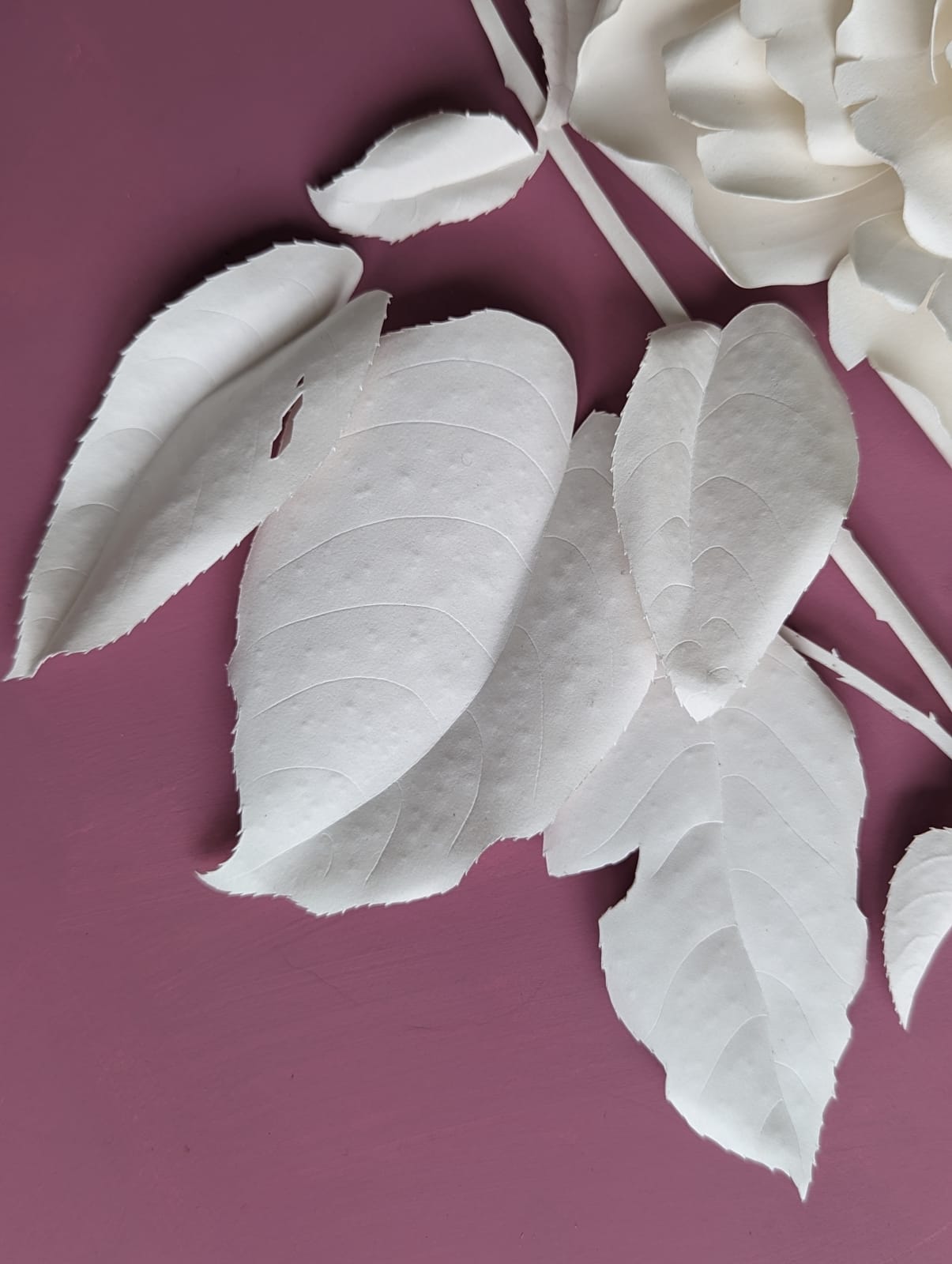 Rachel Shaw Ashton, We Love You So Much – Damask Rose Rose