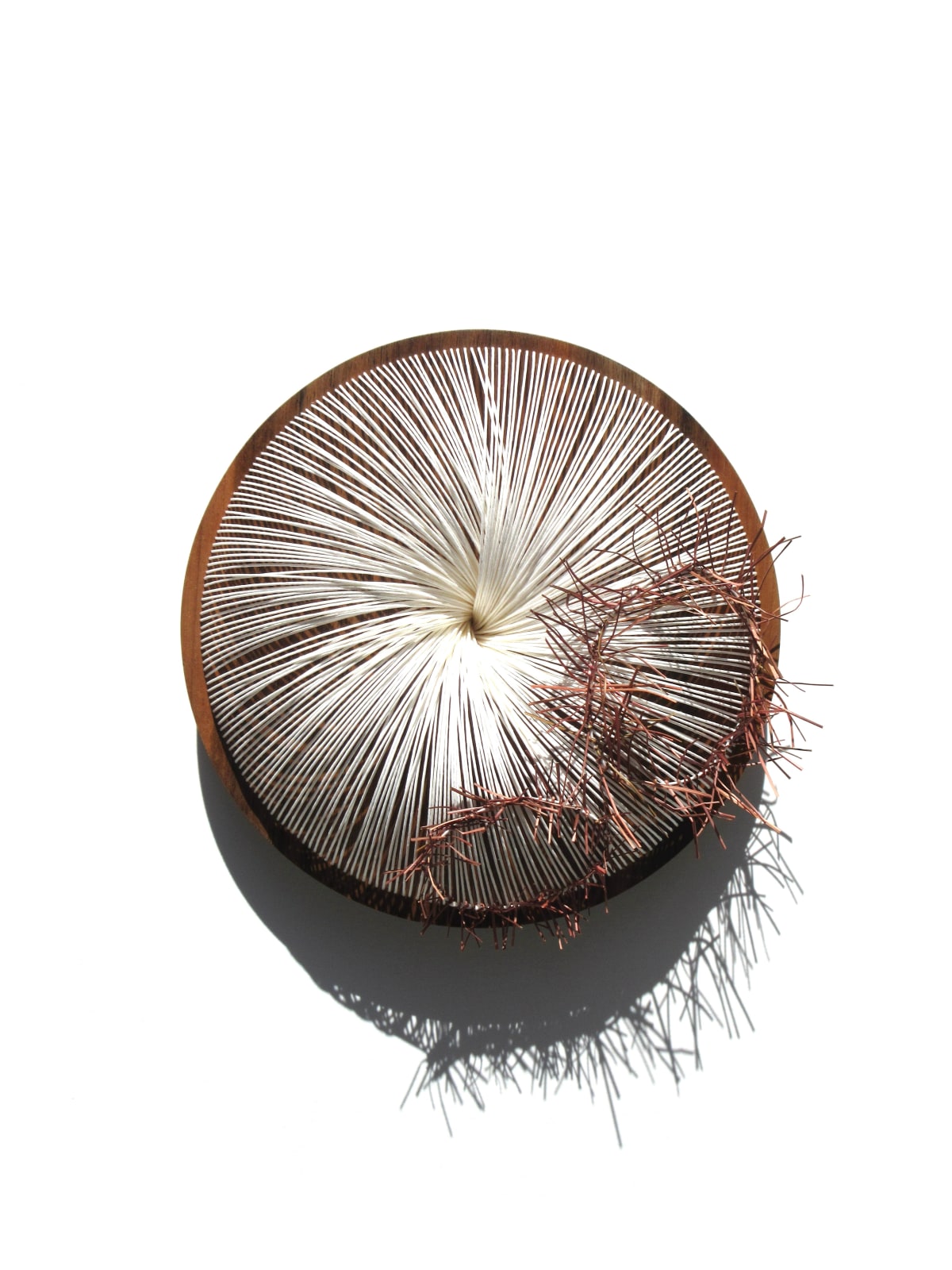 Kazuhito Takadoi, Setsuga l - lV (Snow Bud)