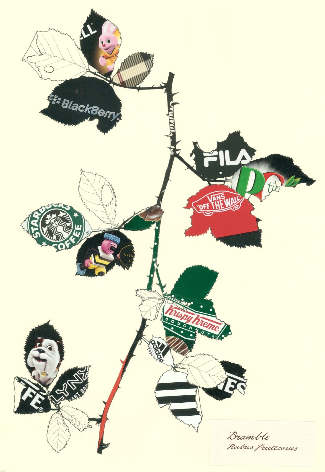 Tracey Bush, Bramble