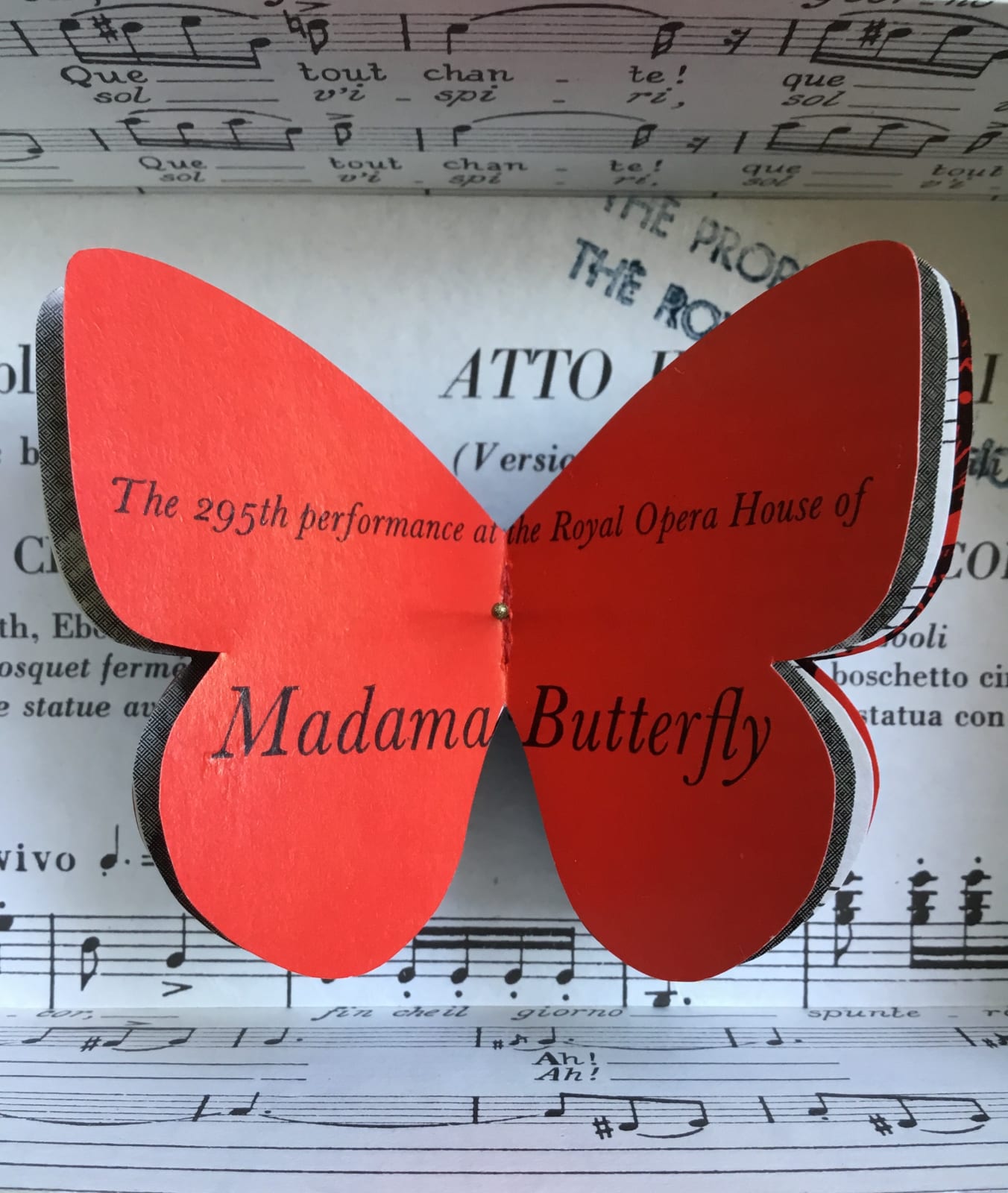 Tracey Bush, Diva Moth