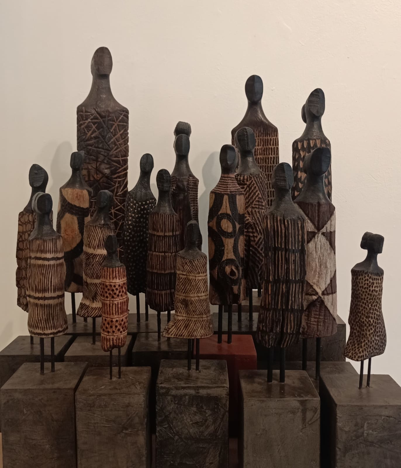 Roger Hardy, Anthropology Series