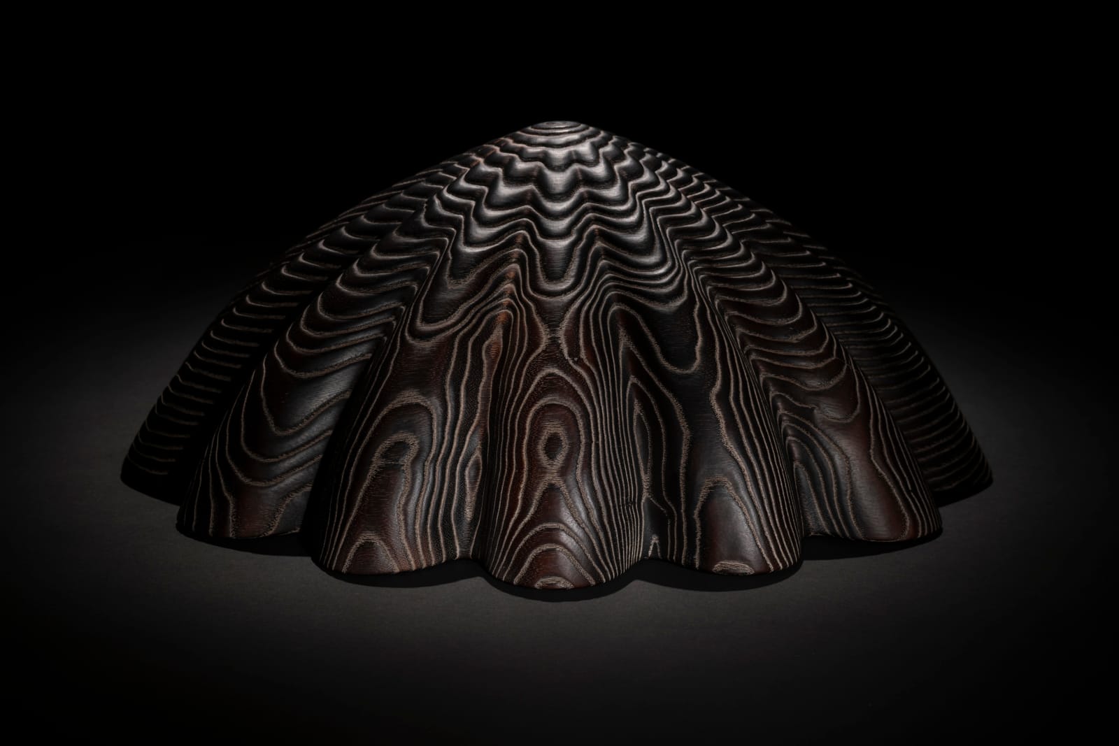 Duke Christie, Limpets