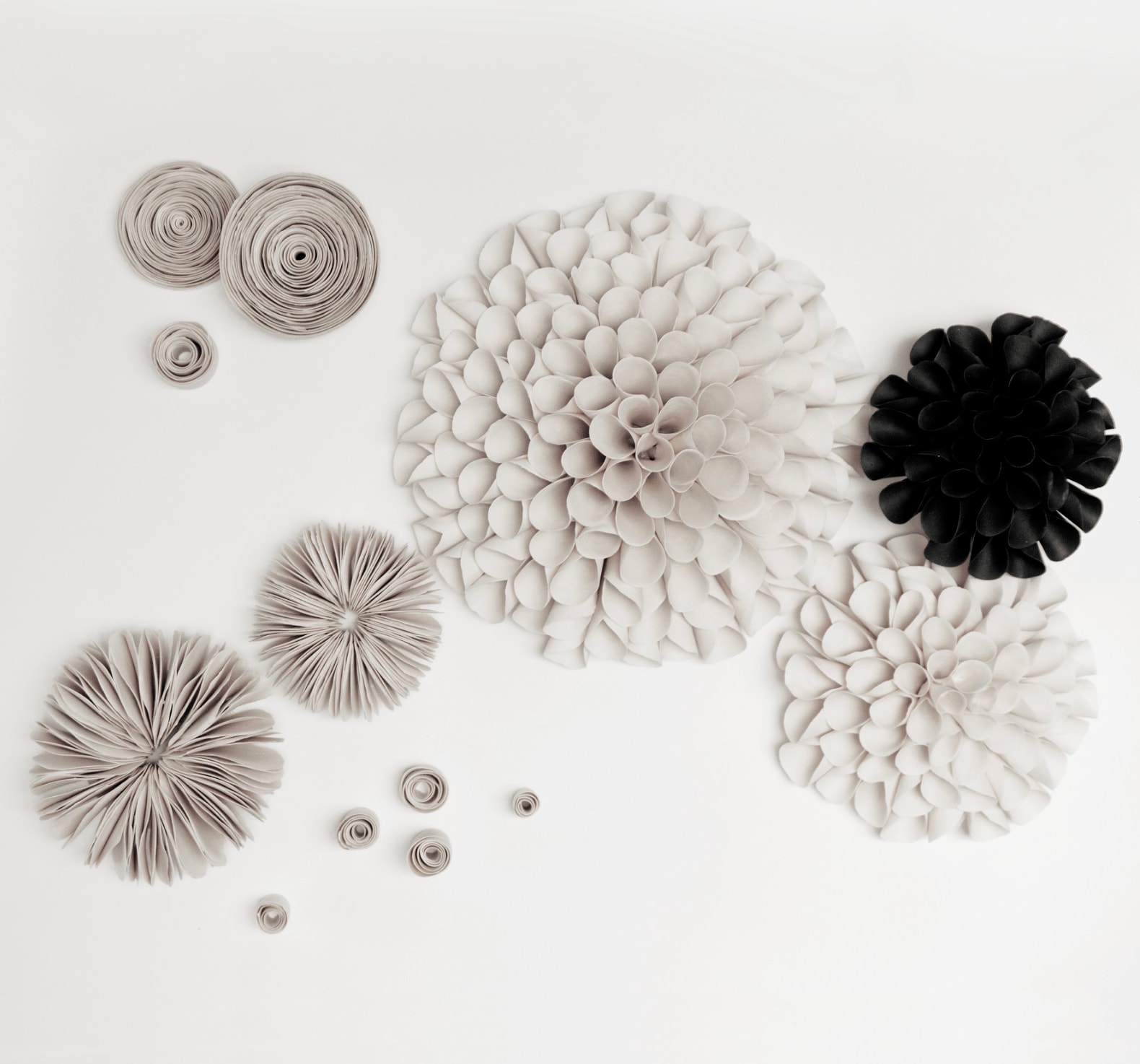 Valéria Nascimento, Botanica