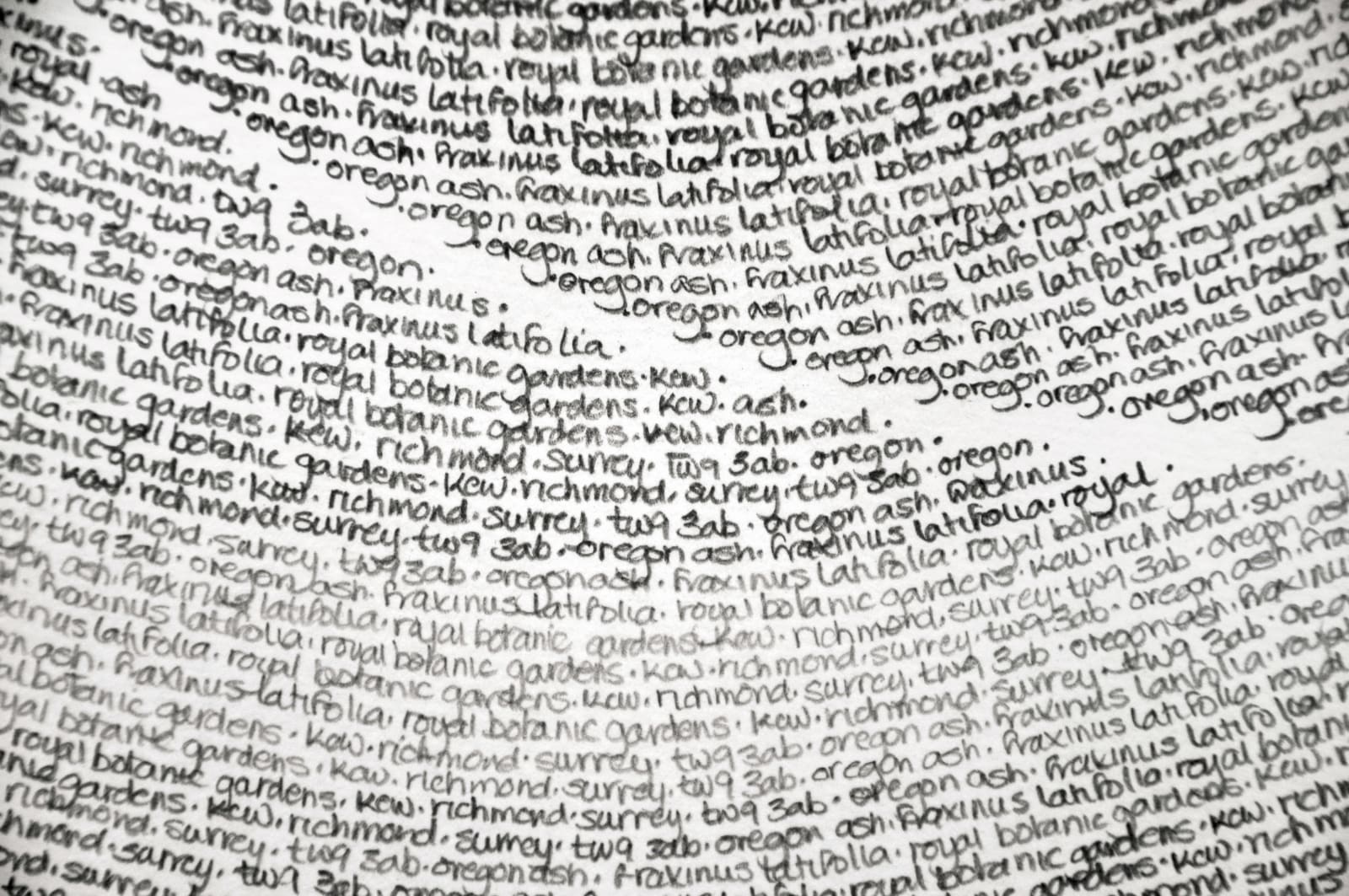 Patricia Swannell, Tree Ring Series