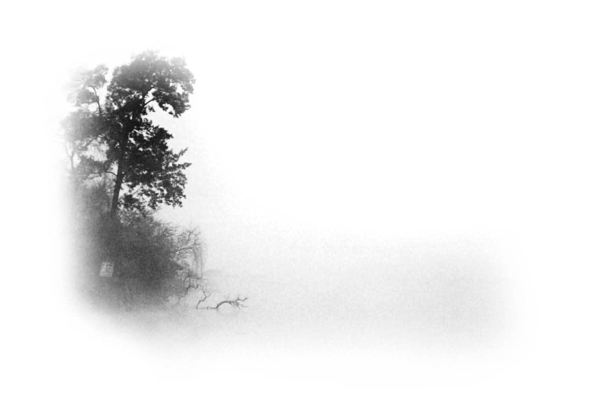 Brenda Hoffman, Brume 1