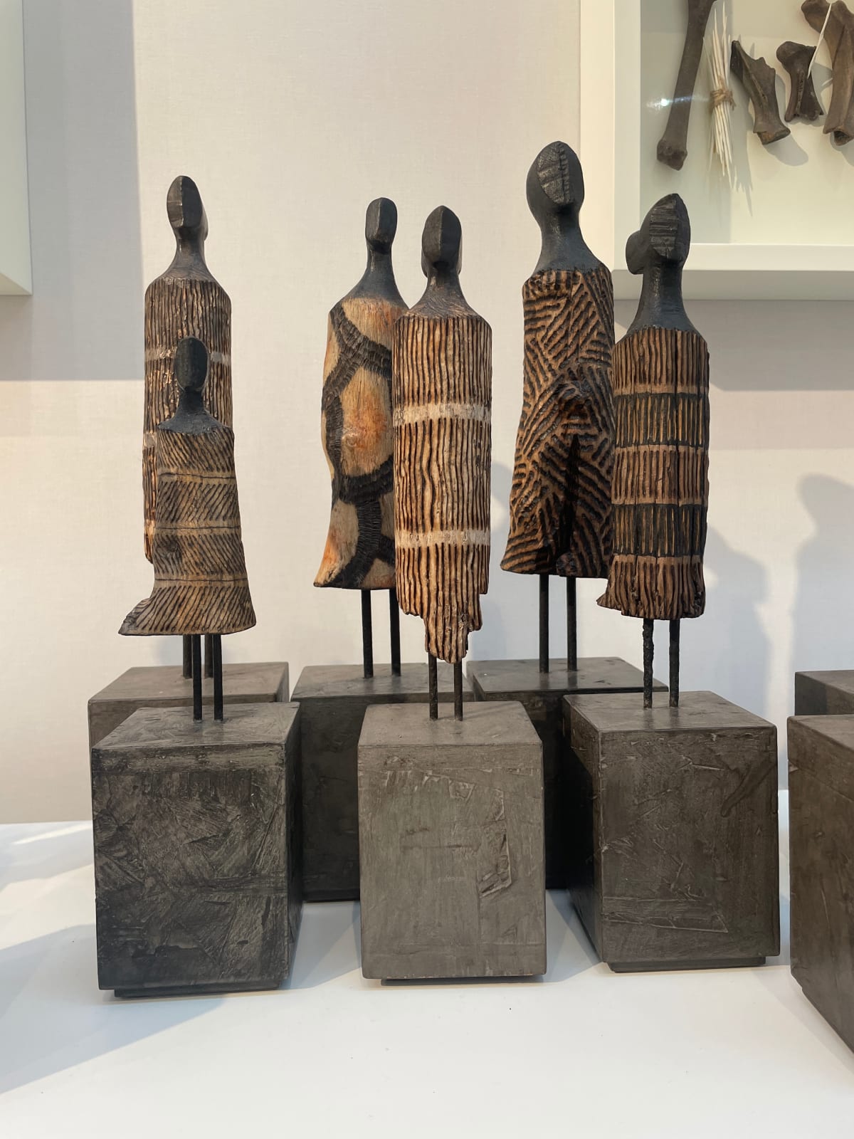 Roger Hardy, Anthropology Series