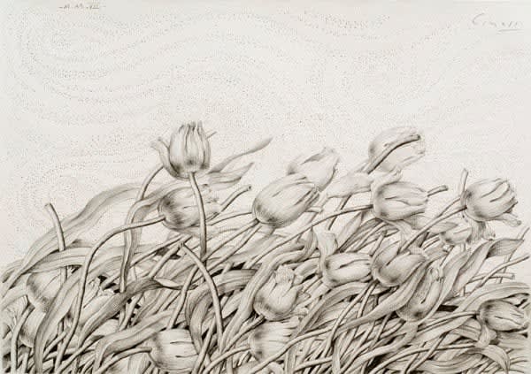 Ricardo Cinalli, The Wind