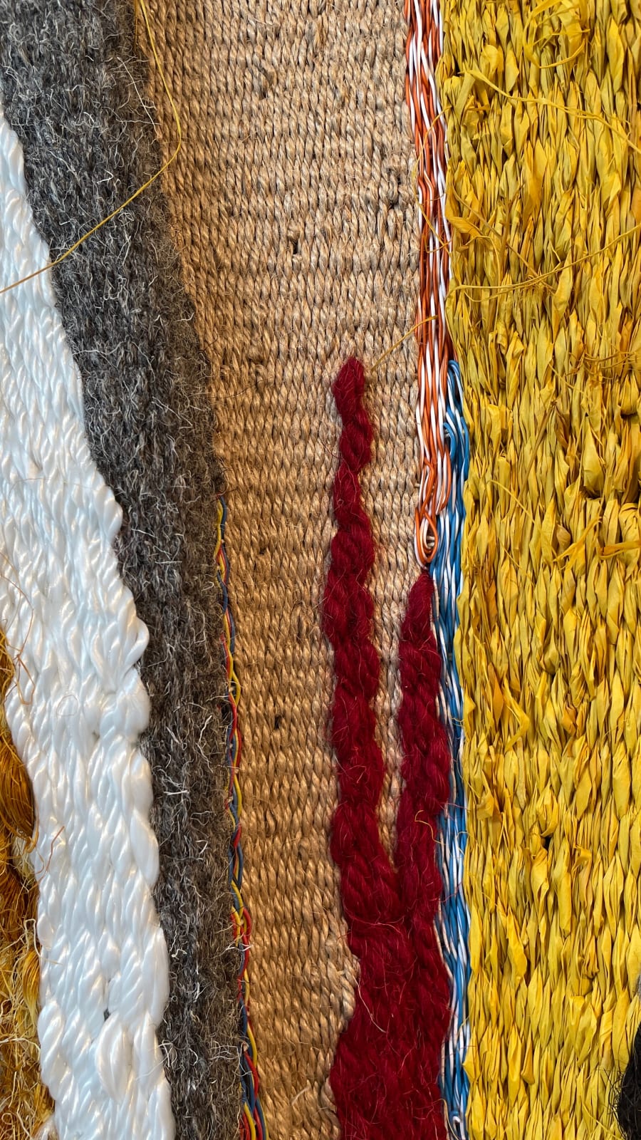 Justine Randall, Anthropocene