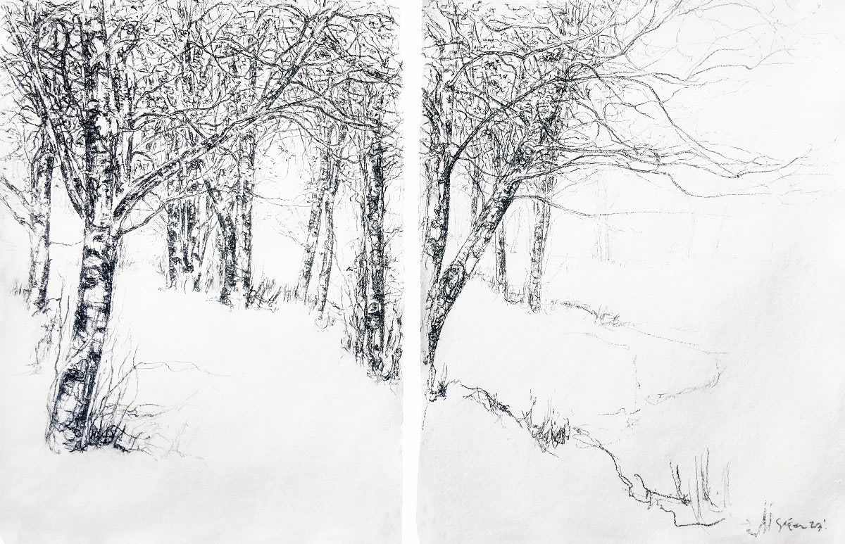 Solange León, A New Dawn (diptych)