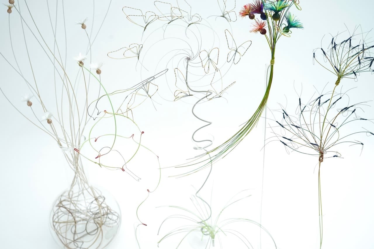 Bridget Bailey, Flowers and Grasses