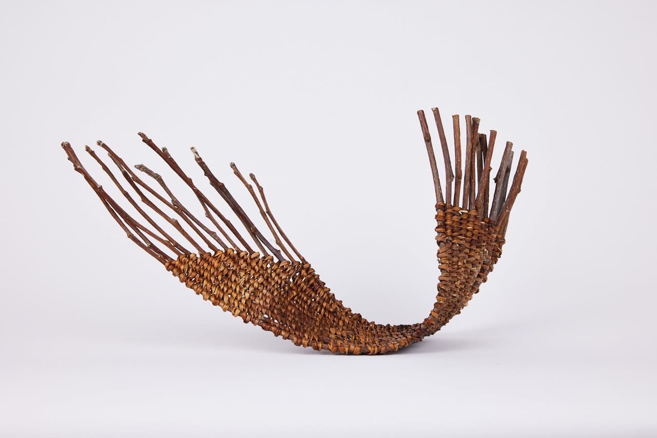 Alice Fox, Arc I & II