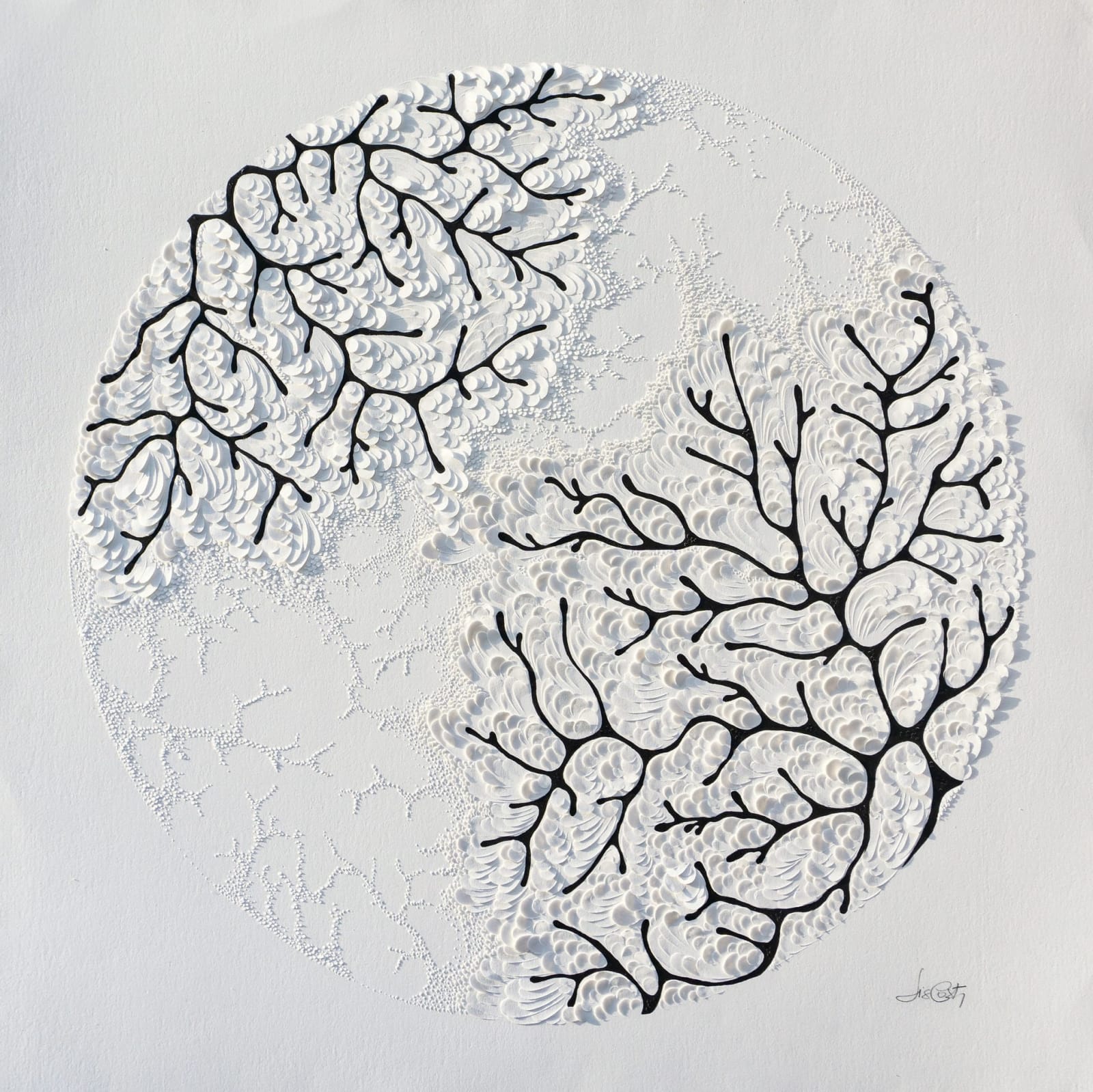 Lis Costa, Coral Brances