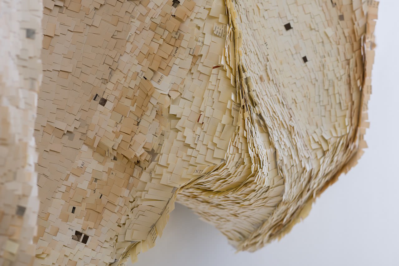 Monica Fierro, Fragments