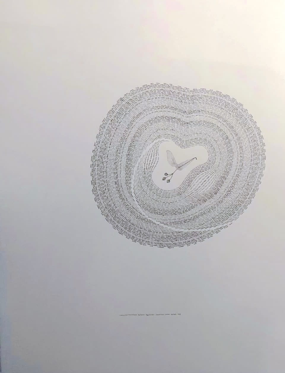 Patricia Swannell, Tree Ring Series