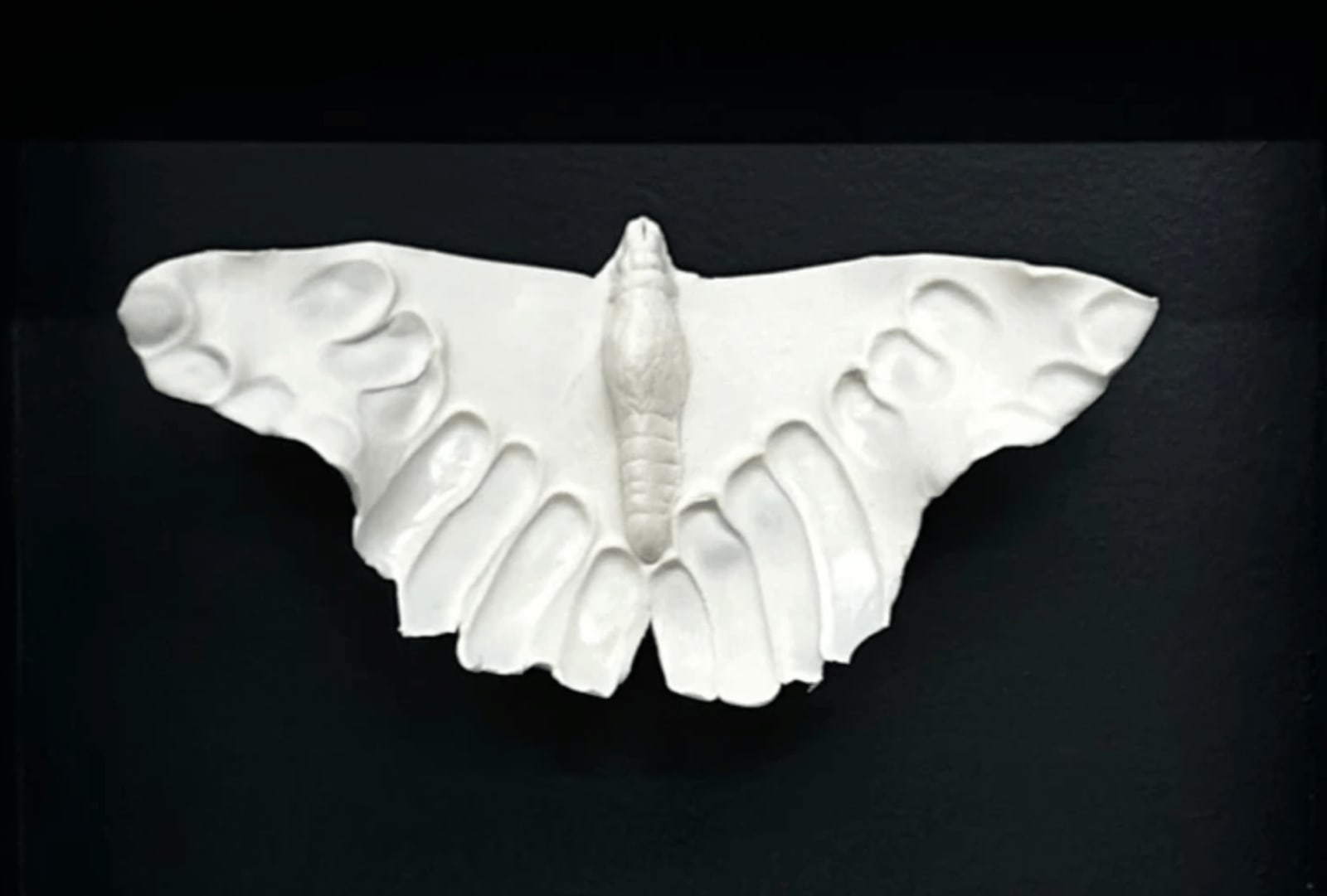 Naoko Tagai, Specimens