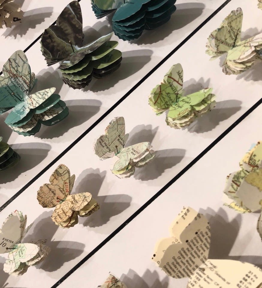 Tracey Bush, British Butterflies