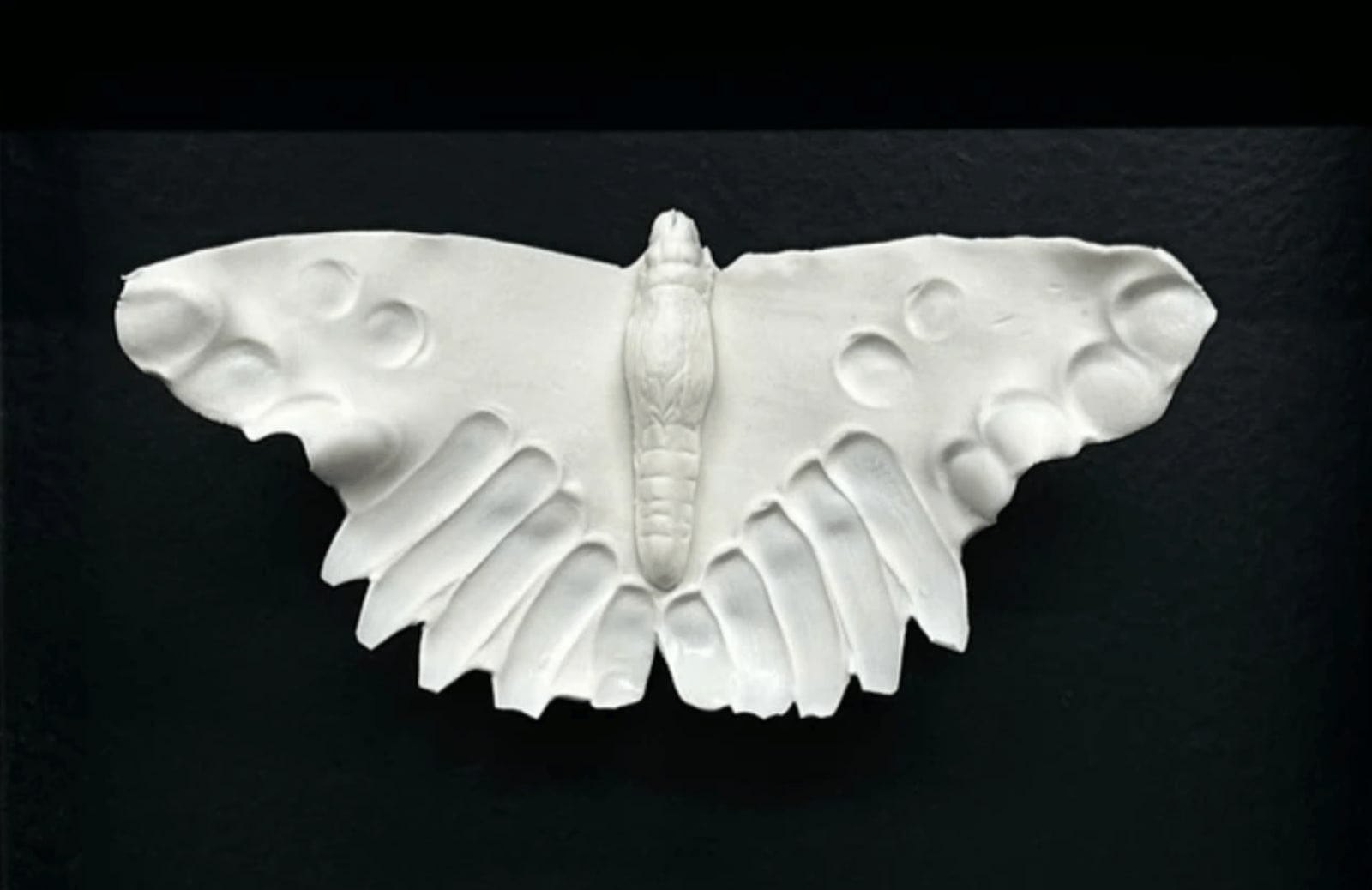 Naoko Tagai, Specimens