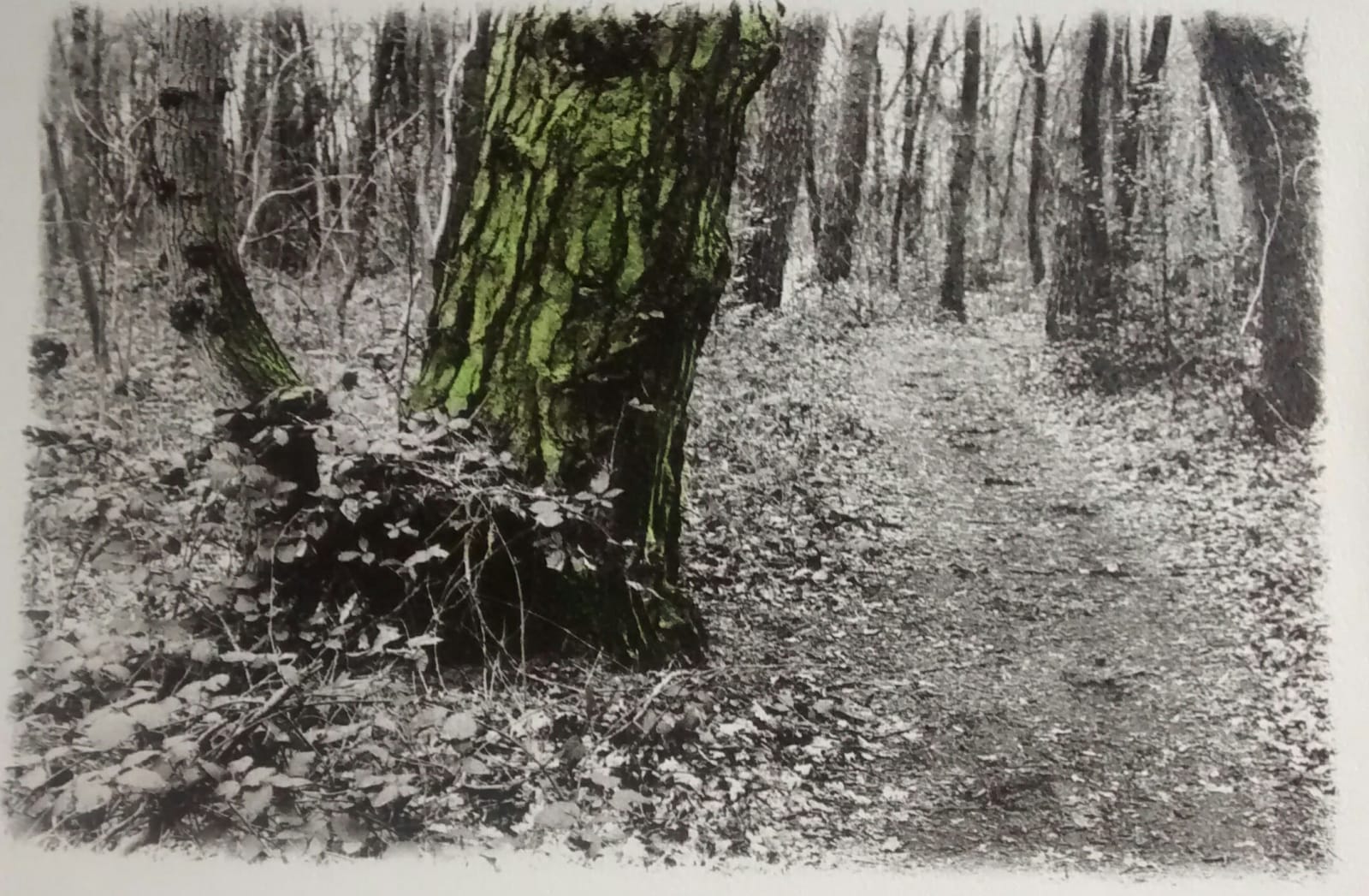 Brenda Hoffman, La Promenade de Rilke 12