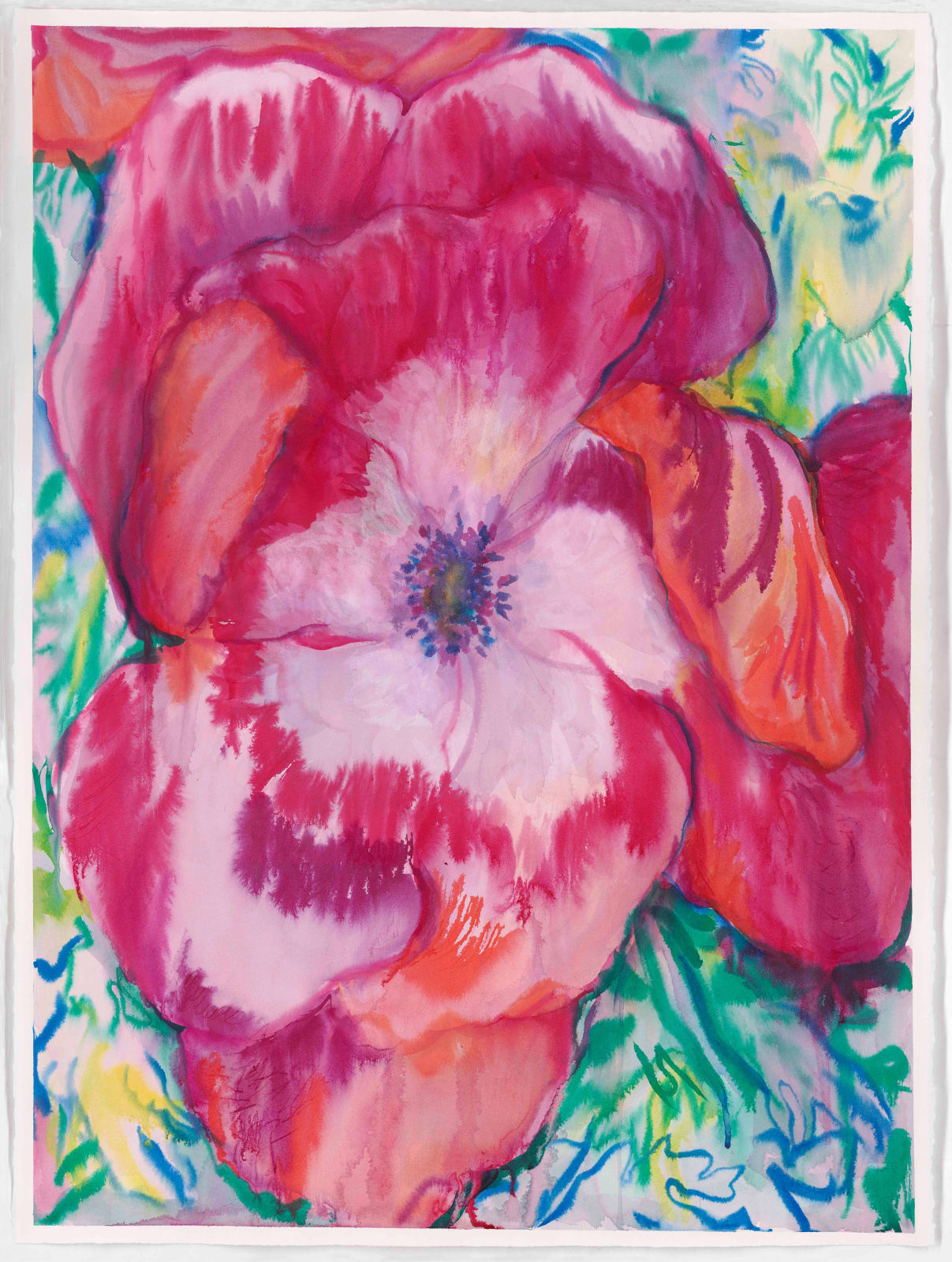 Jaki Doyka, Anemone #4 2.23.23 (Rancho Mirage, CA USA), 2023