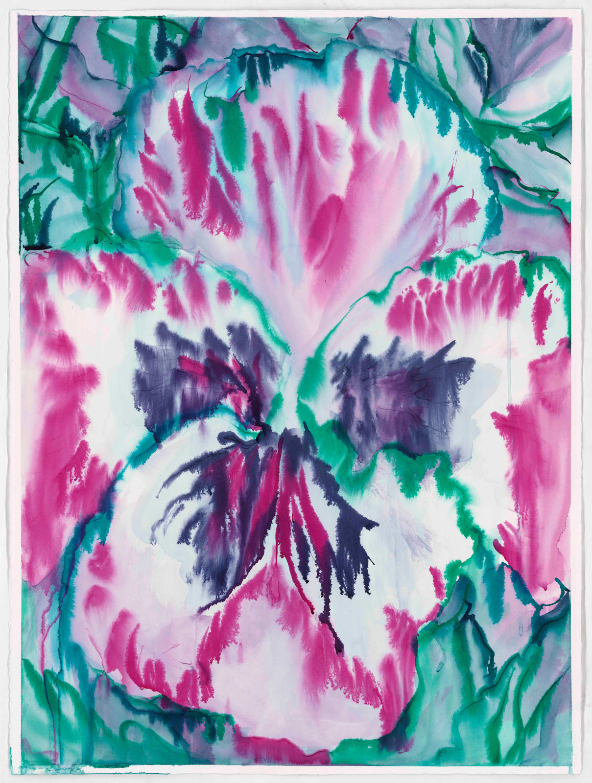 Jaki Doyka, Pansy #4 3.9.23 (Rancho Mirage, CA USA), 2023