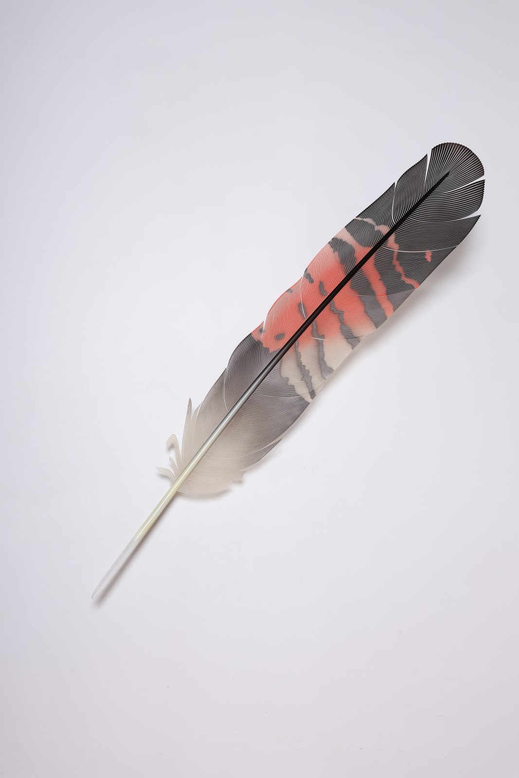 Neil Dawson, Vanity Suite. 1., 2022