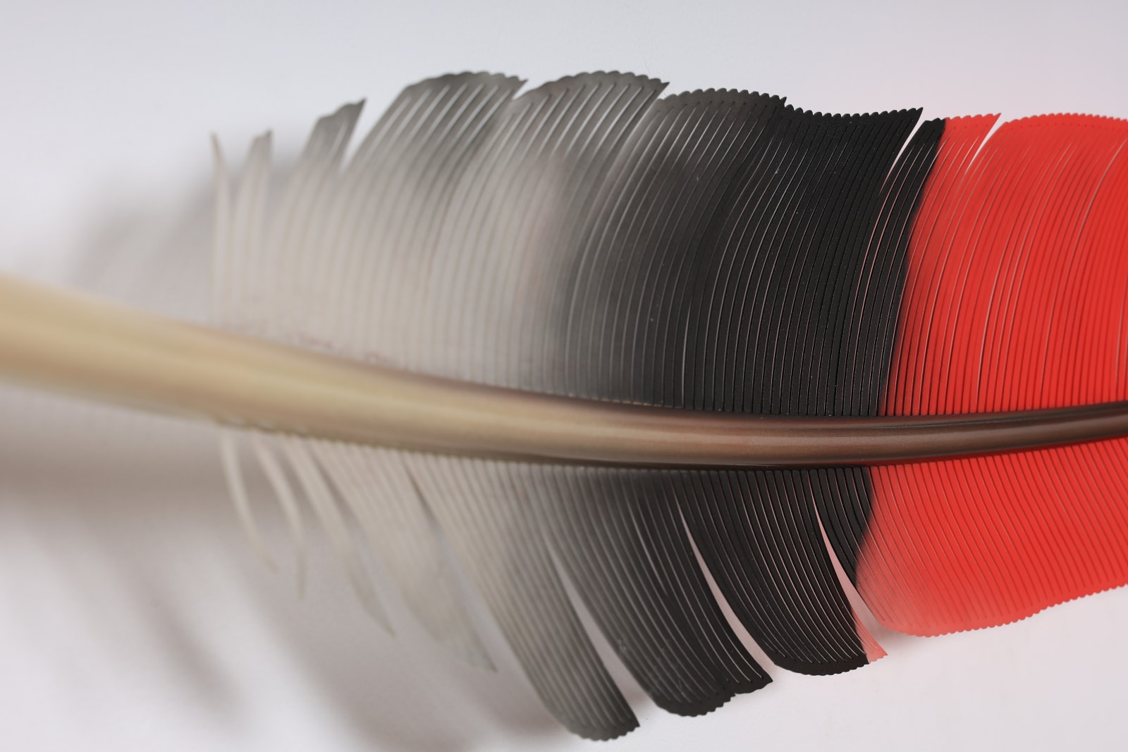 Neil Dawson, Vanity Suite. 10., 2022