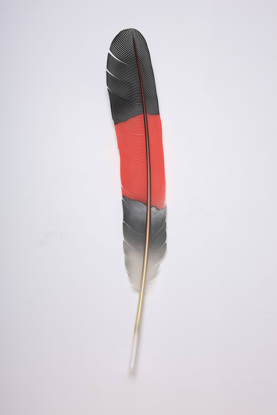 Neil Dawson, Vanity Suite. 10., 2022