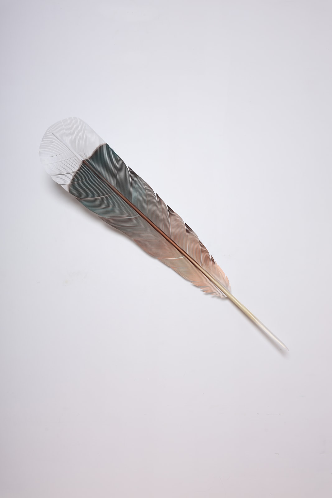 Neil Dawson, Vanity Suite. 5., 2025