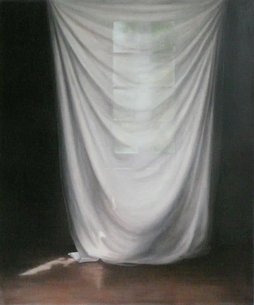 Emily Wolfe, Overshadow, 2013
