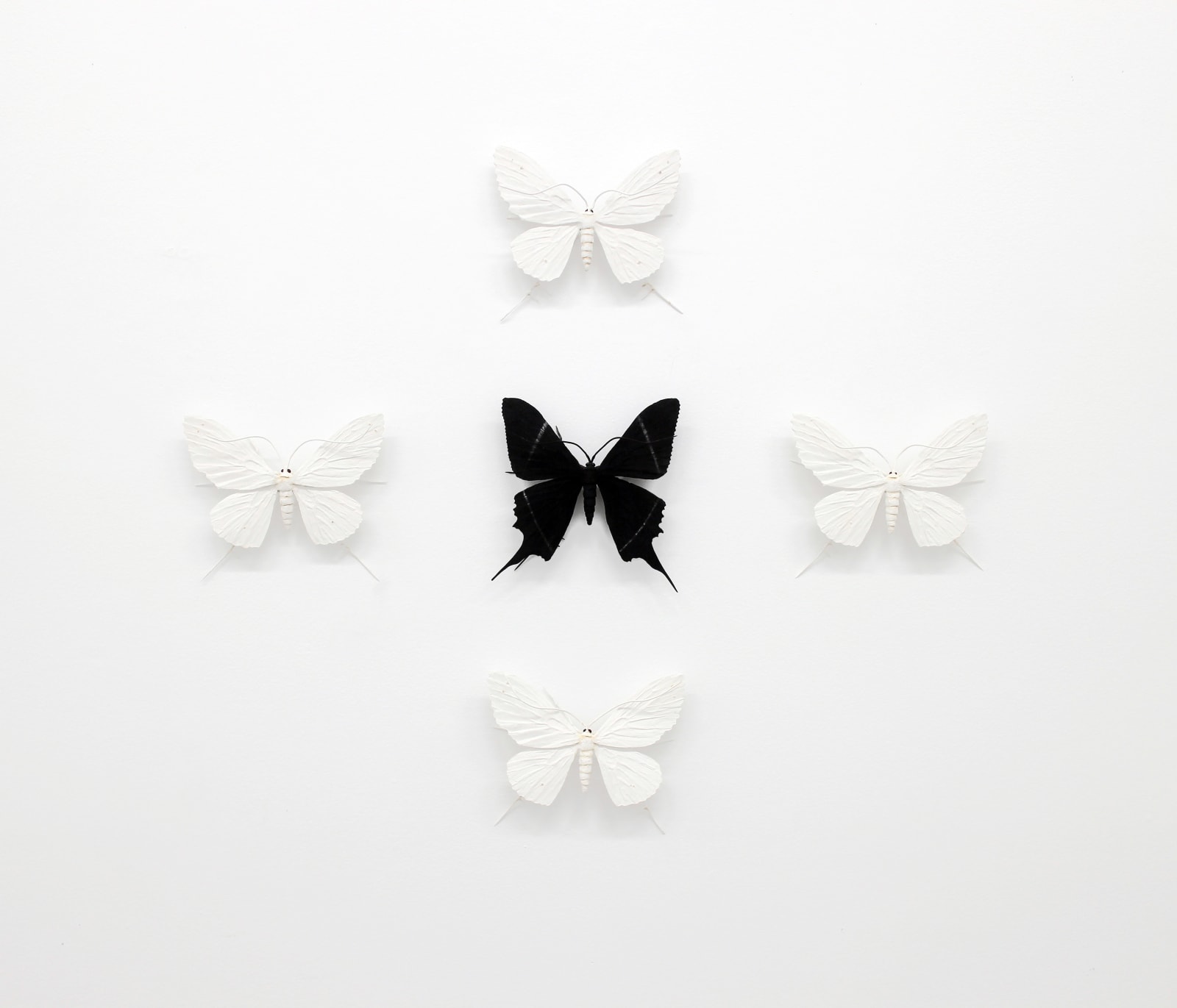 Elizabeth Thomson, The Black-and-Whites (VI), 2017